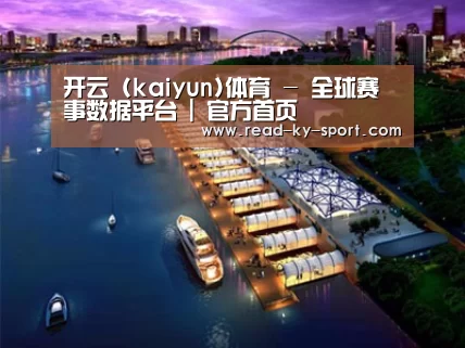 案例展示八